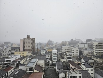 春の雪