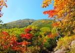 11月伊那市個人セッションのおしらせ 11月伊那市個人セッションのおしらせ