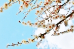 腑に落とすことで行動できる 腑に落とすことで行動できる