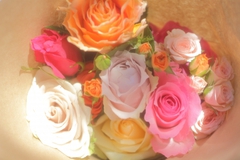 11月祝日セッションのおしらせ☆ 11月祝日セッションのおしらせ☆