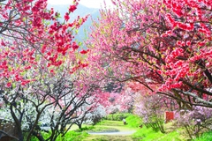 5月のおしらせ 5月のおしらせ