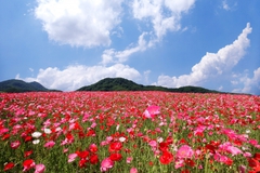 5月のおしらせ 5月のおしらせ