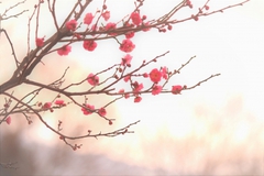 年度末と仕事昇進に関しての~時間の有効利用~ 年度末と仕事昇進に関しての~時間の有効利用~