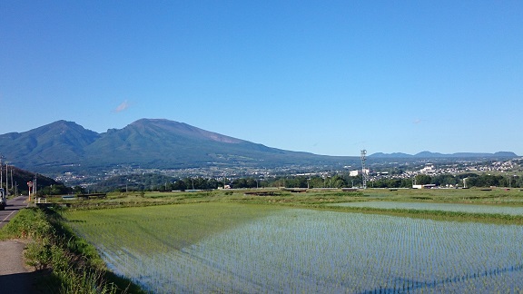 雨降り 雨降り