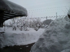 雪かき一つで。。。