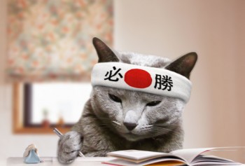 夏期講習中間報告!! 夏期講習中間報告!!