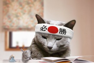 真剣に取り組むこと 真剣に取り組むこと