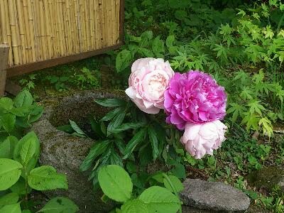 6月