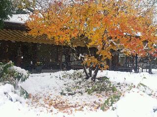 初雪