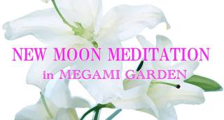本日、新月4月7日。『こころルーム・Megami Garden』オープンです。 本日、新月4月7日。『こころルーム・Megami Garden』オープンです。
