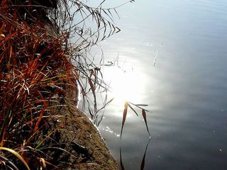 鏡のように。 鏡のように。