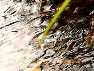 小さな世界に、大きな世界を見る。 小さな世界に、大きな世界を見る。