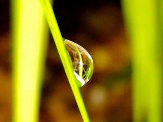 小さな世界に、大きな世界を見る。 小さな世界に、大きな世界を見る。