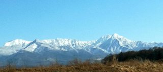 山の気。 山の気。