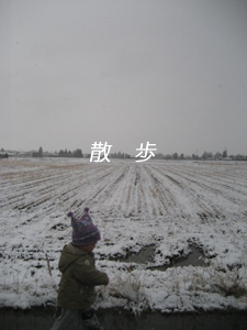 雪中散歩