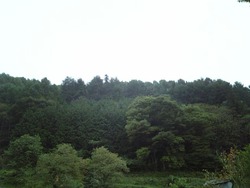 大地の恵み