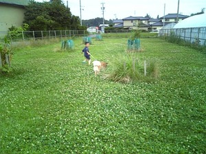 さい災祭