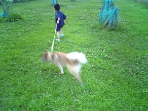 さい災祭