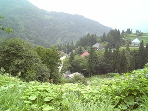 素敵な笑顔に出会えた日