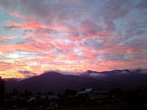 今年最後の秋の日に。