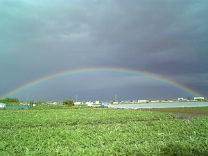 世界にたった一つの香り