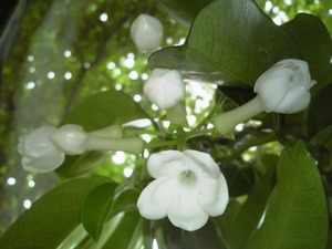お待ちしております。