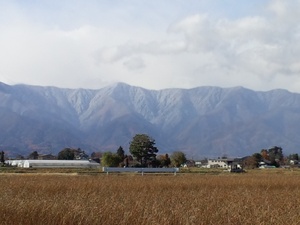 初雪便り