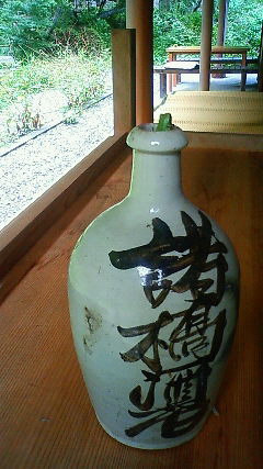 カエルのかくれんぼ