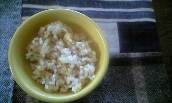 サモサの中味は