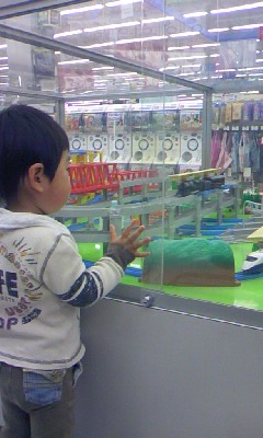 ゆめのくに