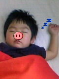 3匹のこぶたと昼寝