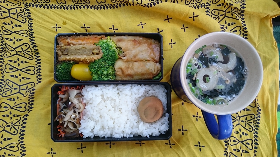 春巻き2種とフライ2種の弁当 春巻き2種とフライ2種の弁当