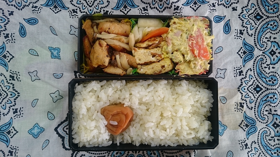 鶏胸肉ソテーとちりめん山椒の玉子焼き弁当 鶏胸肉ソテーとちりめん山椒の玉子焼き弁当