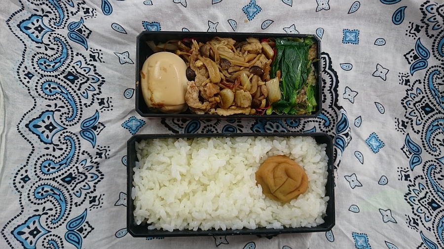 豚肉ガラムマサラ炒め弁当 豚肉ガラムマサラ炒め弁当
