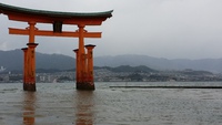 Itsukushima shrine⑤Torii in the water