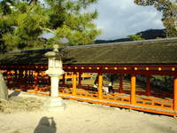 Itsukushima shrine⑧O-Torii 大鳥居