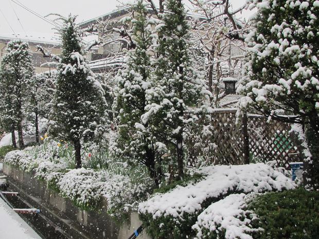 「4月の雪」