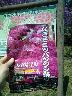 南木曽ミツバツツジ祭り