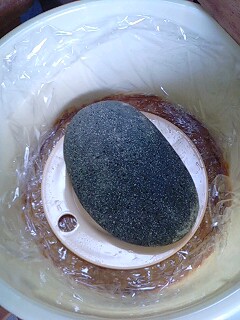 仕込み味噌の途中経過