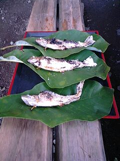 大町から…