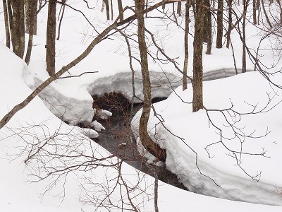 吹雪の鏡池