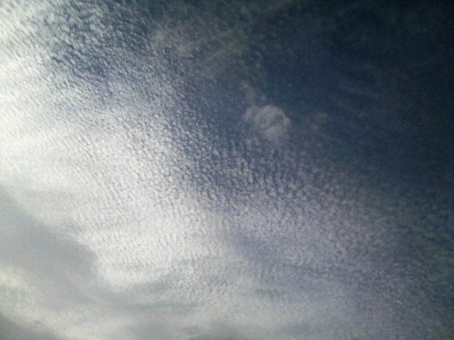 きんなの空
