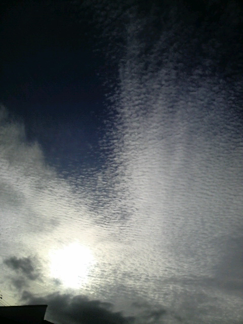 きんなの空