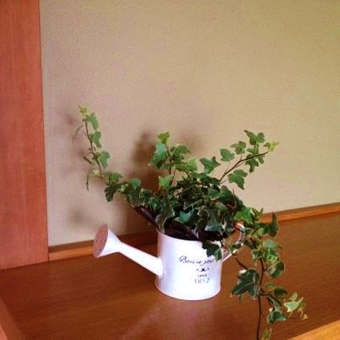 秘密のお部屋
