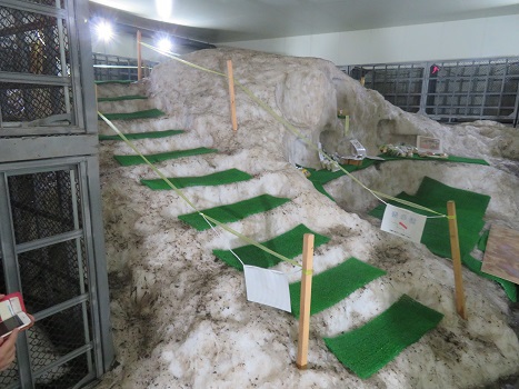 北志賀高原 竜王ロープウェイ 北志賀高原 竜王ロープウェイ