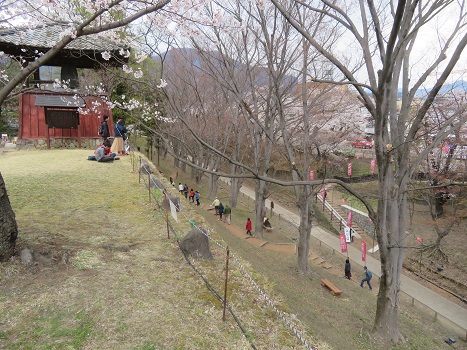 上田城 桜・サクラ・さくら満開 上田城 桜・サクラ・さくら満開