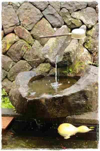 茶房 パニ 茶房 パニ