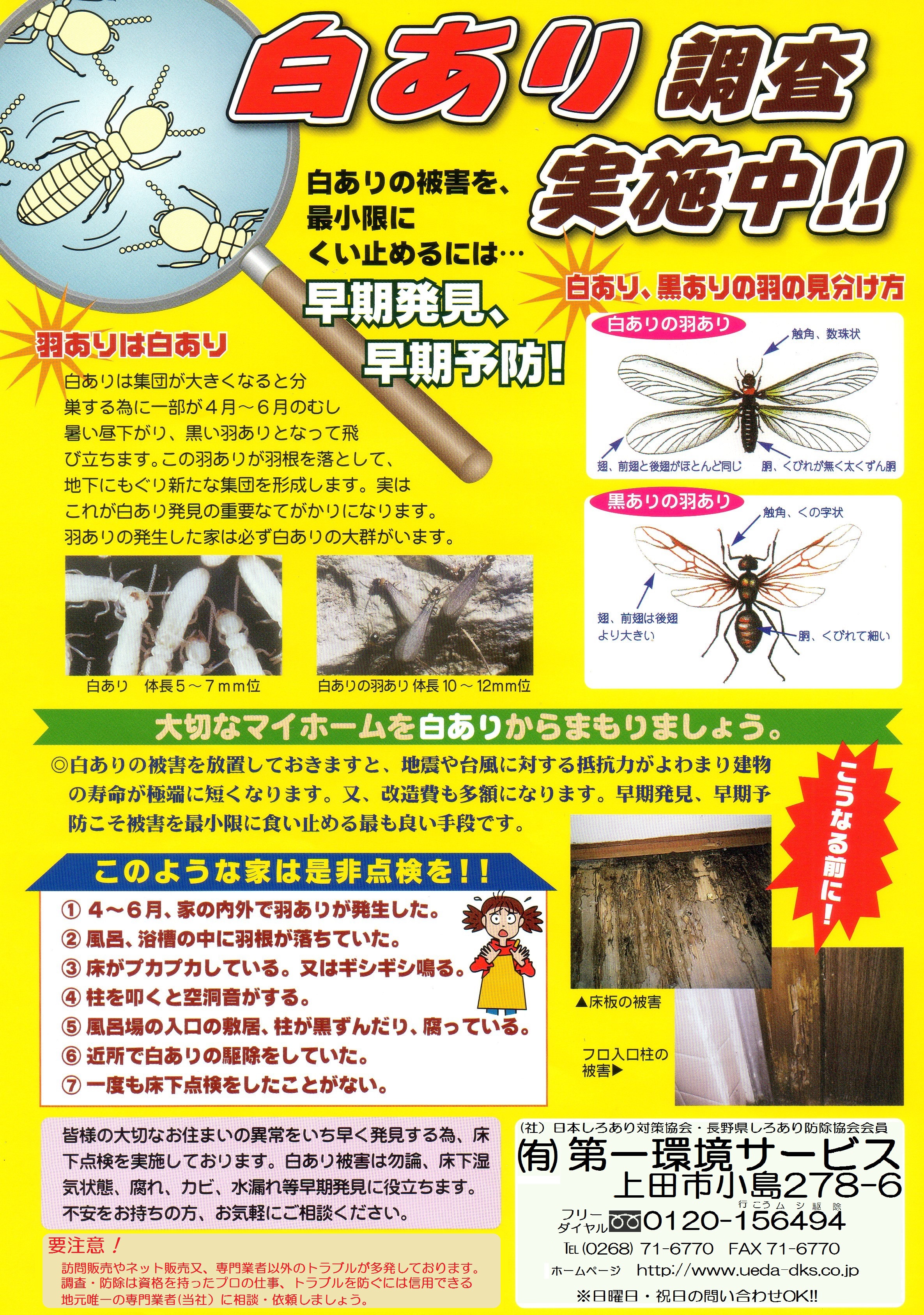 チラシ チラシ
