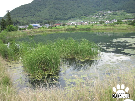 鬼ヤンマ 皆神山