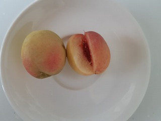 花桃の実を食べてみたら・・・(*^_^*)